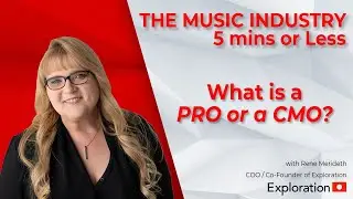 What is a PRO or a CMO? - 5 Mins or Less
