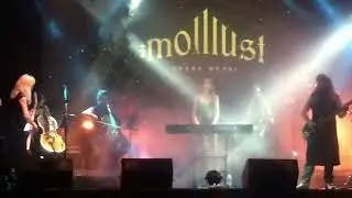 Molllust en Monterrey