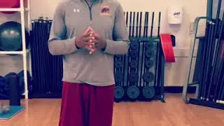 Integrated Movement