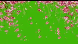 Pink petals green screen effect // #vfx #greenscreen #bluescreen #vikascreation
