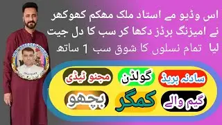 Ustad Malik mohkam khokher k final kabuter | rwpbreederpigeon