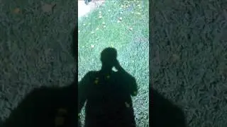 Time will heal me sample