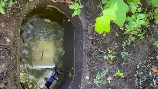 Snake in a water meter box