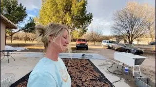 &ldquo;Our First Pecan Harvest Processing Event&rdquo; Pt. 1 - Pecan Update Ep 6 Small Farm Vlog