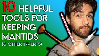 My top picks for essential TOOLS in the mantis/invert keeping hobby! [HUSBANDRY]