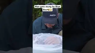 Man stung by blue bee😳😳🐝 @BraveWilderness
