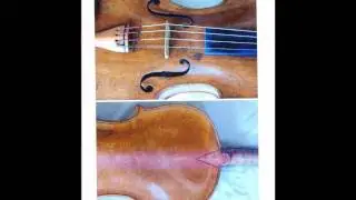 Bach Brandenburg Concerto no. 6, I. Paul Cortese, David Quiggle, live, Granada