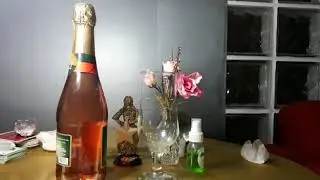Banho poderoso para seduzir e enfeitiçar
