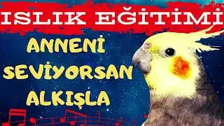 Anneni Seviyorsan Alkışla Islık, Sultan Papağanı Islık Eğitimi