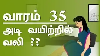 The Pregnancy | week  by week | Tamil | Week 35
