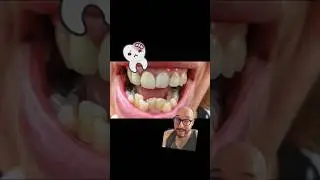 Japanese scientists are planning human clinical trials for a tooth-regeneration drug 🦷 🇯🇵