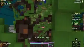 Frogspawn Route Hypixel Dropper