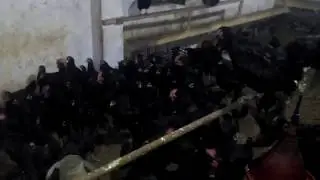 Australorp  Starter Flock Poultry Zone Mansehra KPK Pakistan