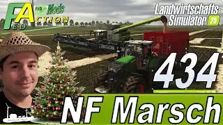 LS25 🚜 434 NF Marsch 4fach Ackerbohnen fertig auf zum Mohn und Leinsamen #landwirtschaftssimulator25