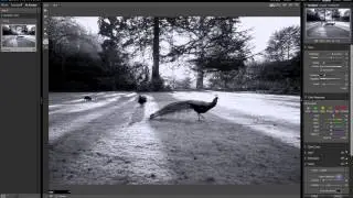 Creating a B & W Tilt Shift with OnOne Photo suite 7