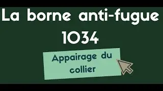 Borne anti fugue 1034 : Appairage du collier