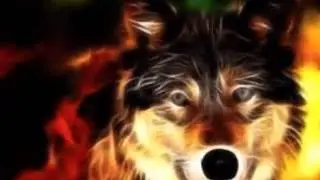 wolf tribute-skillet not gonna die