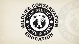 NMDGF Rule Cycle