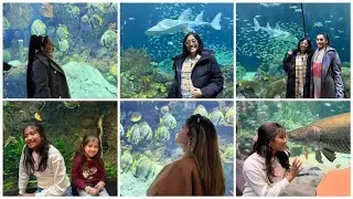 Last day in Chicago well spent at the Shed aquarium and also sharing a secret with you all.