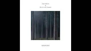 Juan Atkins & Moritz von Oswald - Footprints