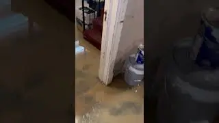 Main sewer line blockage causes flood a funeral home #cloggeddrain #nasty #flood #plumbing #viral
