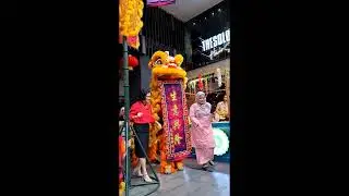 Lion Dance Lunar New Year Ansa Hotel Bukit Bintang Kuala Lumpur Malaysia | 吉隆坡Ansa酒店舞狮马来西亚