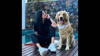 LOMOTIF UMA DANI ❤️😍