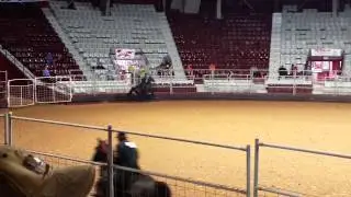 2015 AR State Horse Show - Men's Gaited Final Cut