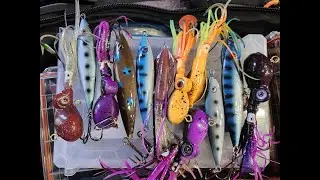 Dan's 💰 Jigs! Let's Go! Lingcod, Rockfish, Cabezon and More! 💰 🤑 💲 Oregon Coast! @DanG=f9s