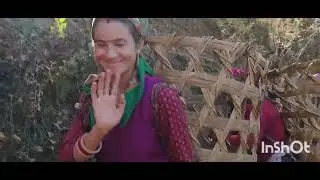 देखो हमारे गांव की काम करने वाली बहू भालू का कितना डर फिर भी जंगल जा रही है