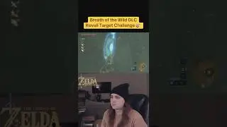 Zelda Breath of the Wild - DLC Revali Targets 🎯 #botw #zeldabotw #switch2 #zelda #nintendogame