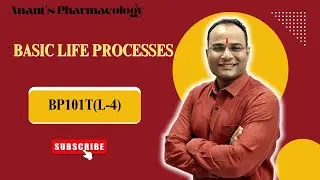 Basic life processes 