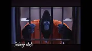 Johnny sings &ldquo;im still standing&rdquo;