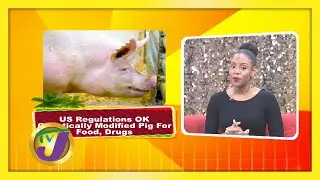 Trending Topics: TVJ Smile Jamaica