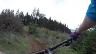 Post Canyon in Hood River DH run