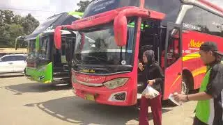 Bus Adhi Prima Scania Baru