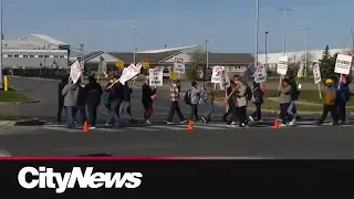 City of Brampton workers hit the picket lines