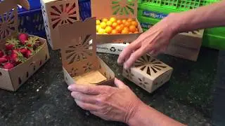 How to Get to Zero Waste with the Half Pint Sustainable Produce Container & Crush Plastic