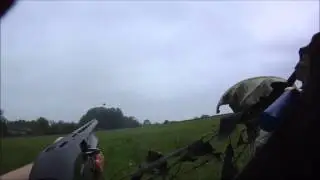 Jackdaw Shooting