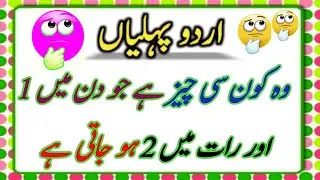 🎉 Awesome and unique Riddle in urdu&hindi|🤔💡