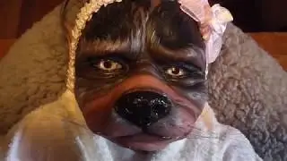 Tess Meakah the Werepup