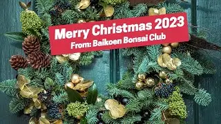 Merry Christmas from Baikoen Bonsai Club