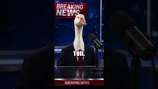 Приятного аппетита