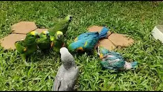 kumpulan rt14
