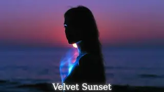 Hypnotic Bloom - Velvet Sunset