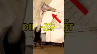 Never visit Museums at Night...