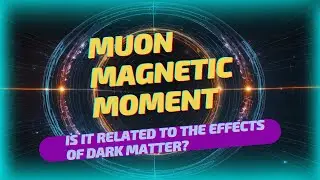 Muon Magnetic Moment #25