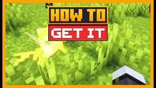 HOW TO TRANSFORM THE GOLDEN ALLAY INTO A SOUL MAGE IN MINECRAFT COMPANIONS