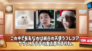 YouTubeの荒らしについて詳しく解説・説明