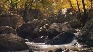 Soft meditation music